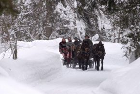 Pferdekutsche Horse Drawn Carriage (c) Foto Bauer